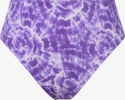Bikini Broekjes Bikinibroek Dames Violetblauw