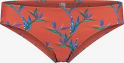 Shiwi Bikini Broekjes Bikinibroek Dames Oranje