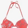 Sunseeker Push-up Bikini Tops Push-up Bikinitop Ditsy Dames Oranjerood -Bikini Verkoop 7b7f39b3390ebeec17ca3a96f6091c48